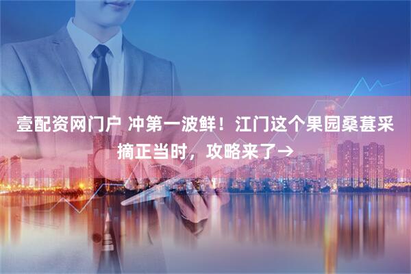 壹配资网门户 冲第一波鲜！江门这个果园桑葚采摘正当时，攻略来了→